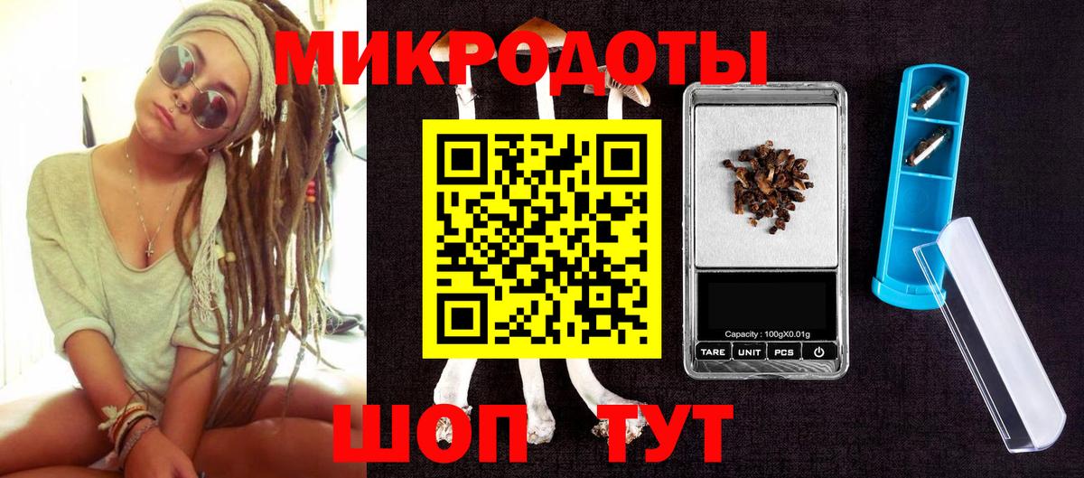 Псилоцибиновые грибы Psilocybine cubensis Алейск
